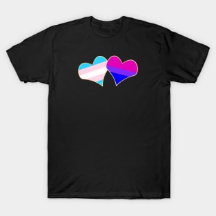 Gender and Sexuality (Bisexual) T-Shirt